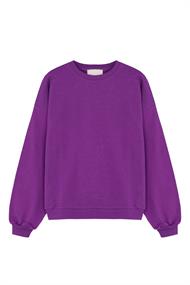 ABSOLUT CASHMERE Stephanie/swt